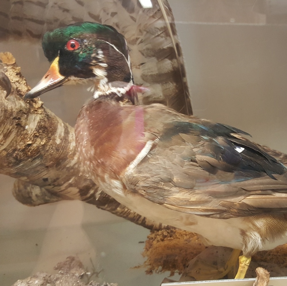 Hi, have a good day.